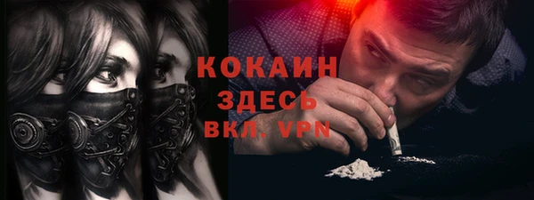 индика Алексеевка
