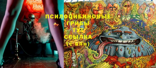 индика Алексеевка
