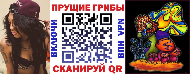 Галлюциногенные грибы ЛСД  сколько стоит  OMG рабочий сайт  Далматово 